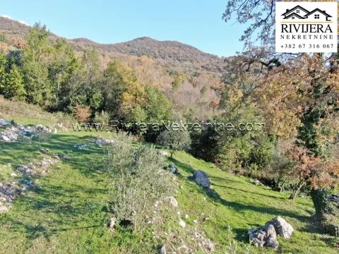 Prodaja, plac, 2177m², Ratiševina, Herceg Novi - image 2