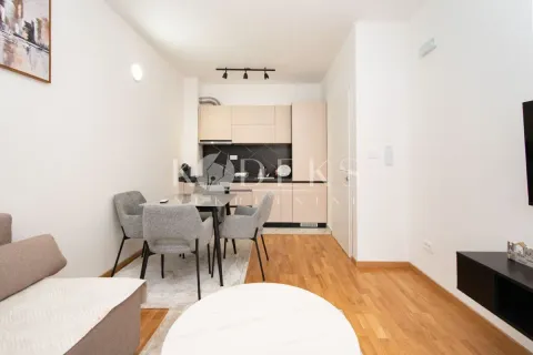 Rent, one bedroom apartment, 39m², Zagorič, Podgorica - image 2