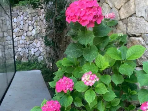 Sale, house, 350m², Prijevor, Budva - image 12