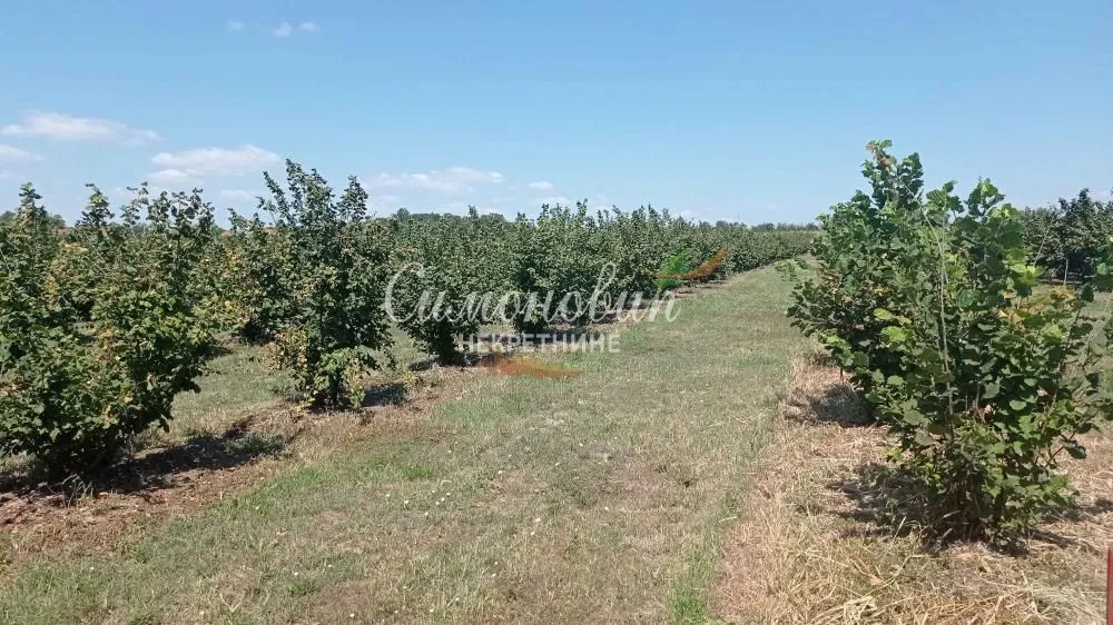 Prodaja, plac, 63000m², Centar, Ub