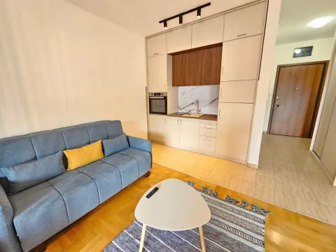 Living room with a sofa and a small kitchen in the corner. - image 17