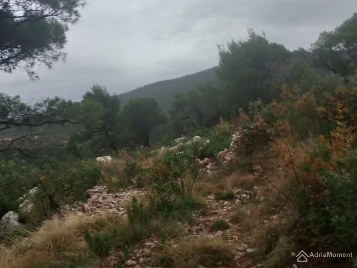 Prodaja, plac, 14000m², Žanjić, Herceg Novi