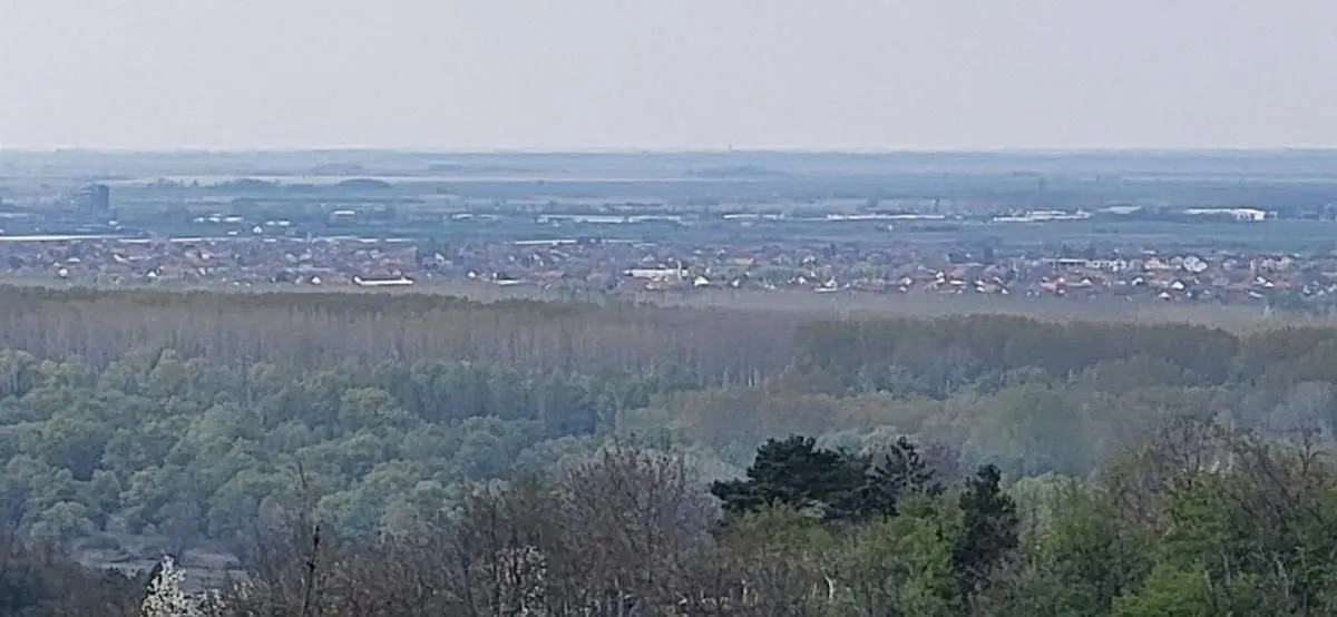 Sale, land lot, 2800m², Beočin, Srbija