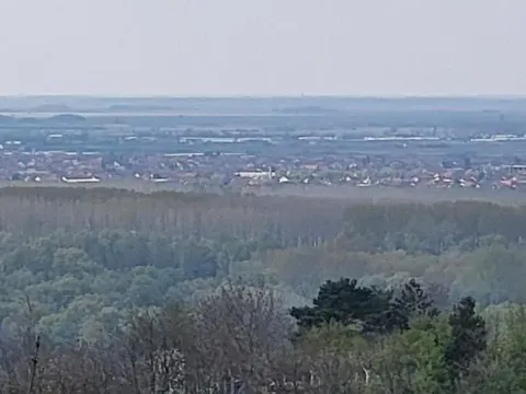 Prodaja, plac, 2800m², Beočin, Srbija - image 4