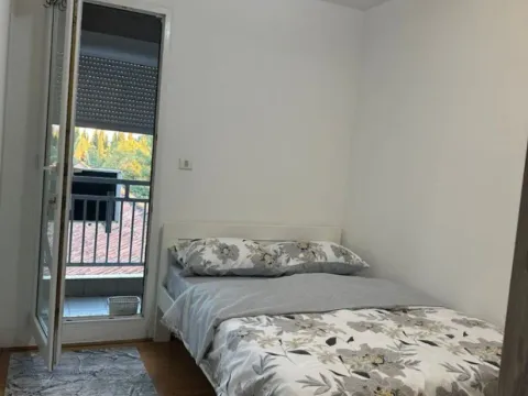 Rent, one bedroom apartment, 40m², Zabjelo, Podgorica - image 2