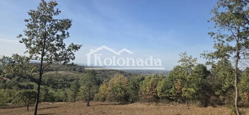 Pogled na okolnu prirodu i šumu sa placa.