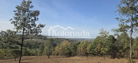 Pogled na okolnu prirodu i šumu sa placa. - image 6