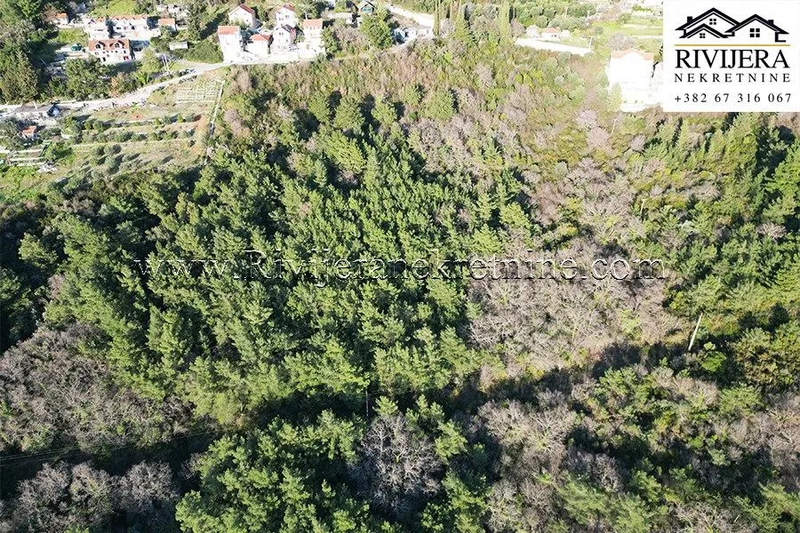 Prodaja, plac, 58950m², Kavač, Kotor