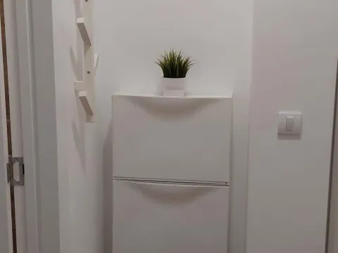 Izdavanje, dvosoban stan, 40m², Južni Bulevar, Vračar Sve Podlokacije - image 10