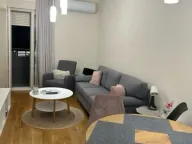Izdavanje, jednosoban stan, 40m², Central Point, Podgorica - image 3