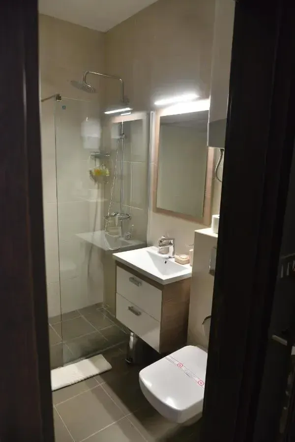 Modern bathroom equipped with a walk-in shower, washbasin, and toilet.