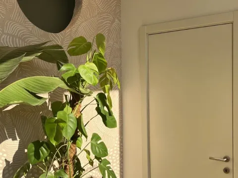 Prodaja, poslovni prostor, 626m², Zavala, Budva - image 4