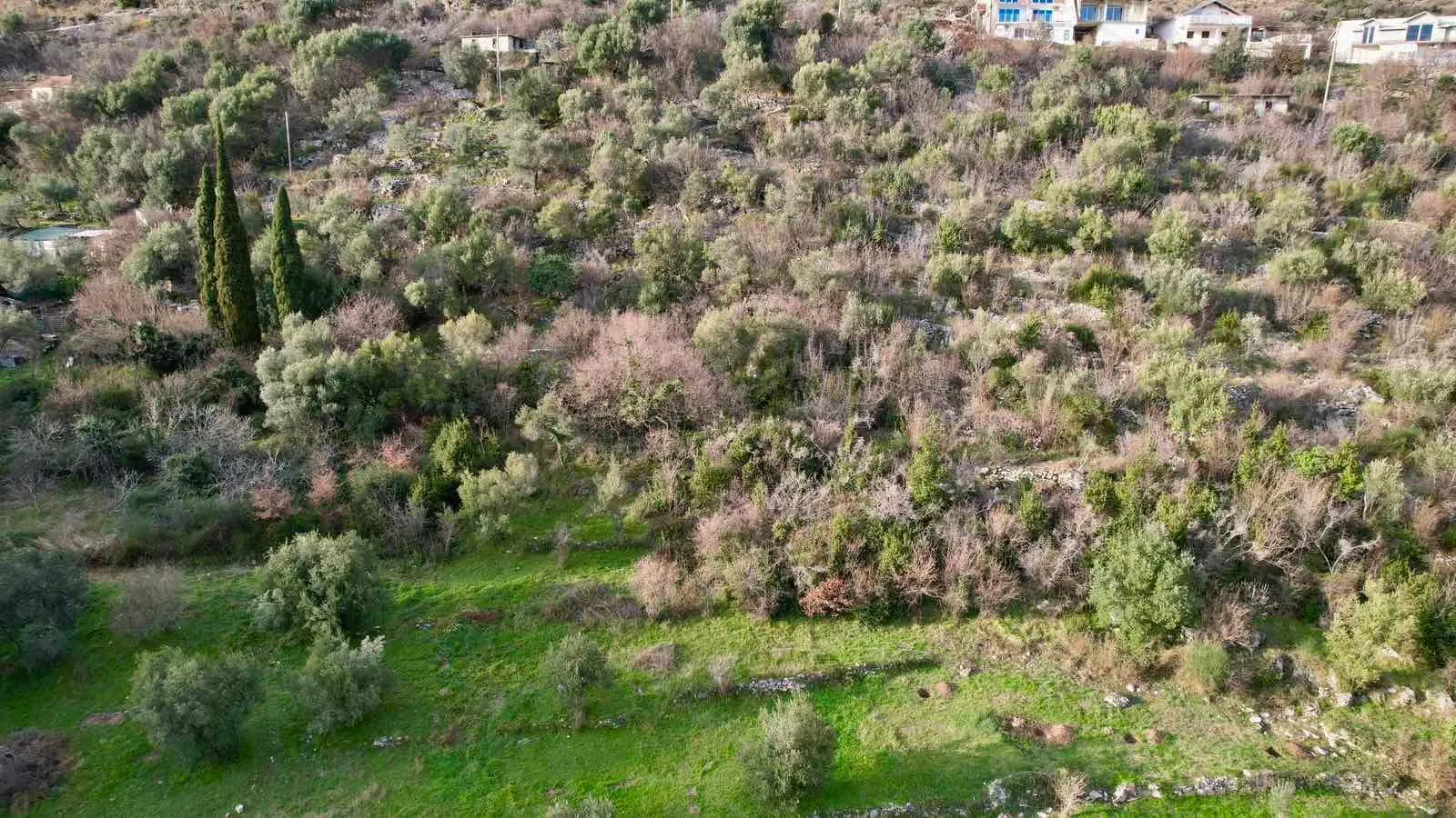 Prodaja, plac, 750m², Herceg Novi, Crna Gora