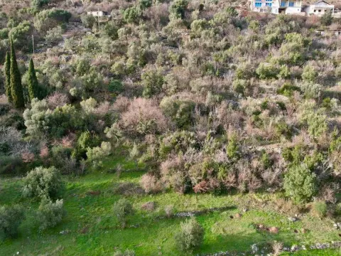 Prodaja, plac, 750m², Herceg Novi, Crna Gora - image 10