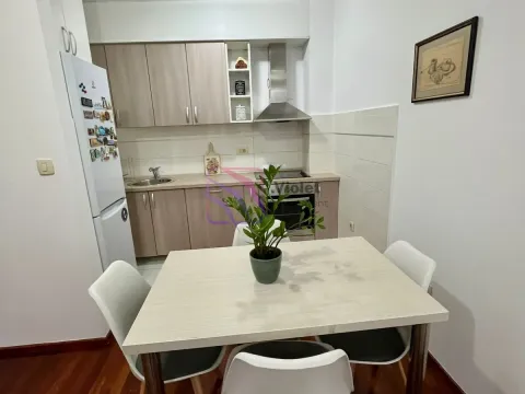 Izdavanje, jednosoban stan, 44m², Stari Aerodrom, Podgorica - image 4