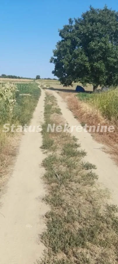 Prodaja, plac, 2200m², Futog, Novi Sad Sve Podlokacije