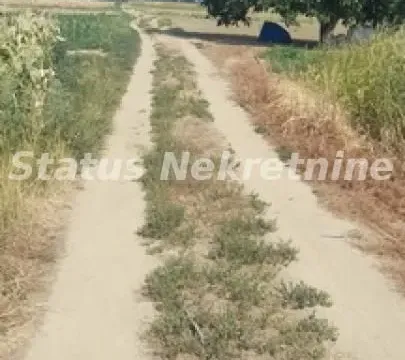 Sale, land lot, 2200m², Futog, Novi Sad Sve Podlokacije - image 3