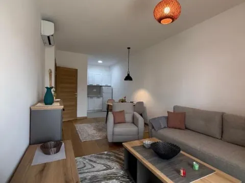 Rent, one bedroom apartment, 47m², Podgorica, Crna Gora - image 2