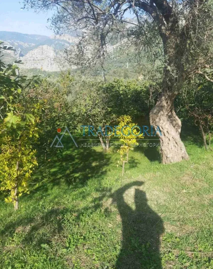 Prodaja, kuća, 100m², Bar, Crna Gora