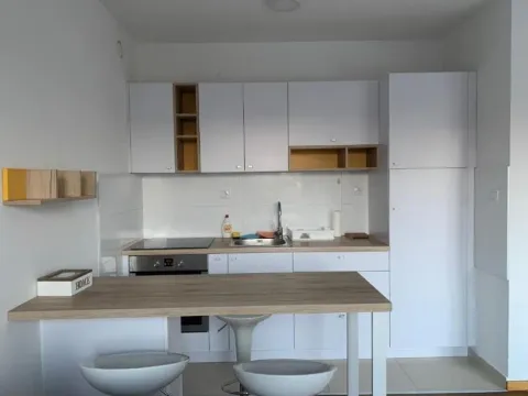 Izdavanje, jednosoban stan, 38m², Sajmište, Novi Sad - image 3