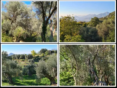 Prodaja, plac, 1200m², Bar, Crna Gora - image 2