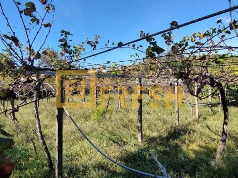 Sale, land lot, 1300m², Farmaci, Podgorica - image 4