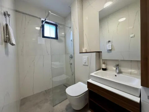 Modern bathroom with a walk-in shower, washbasin, and toilet. - image 10