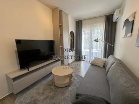 Izdavanje, garsonjera, 25m², Pod Kuk, Tivat - image 7