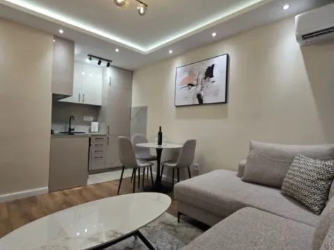 Izdavanje, jednosoban stan, 35m², Preko Morače, Podgorica - image 2