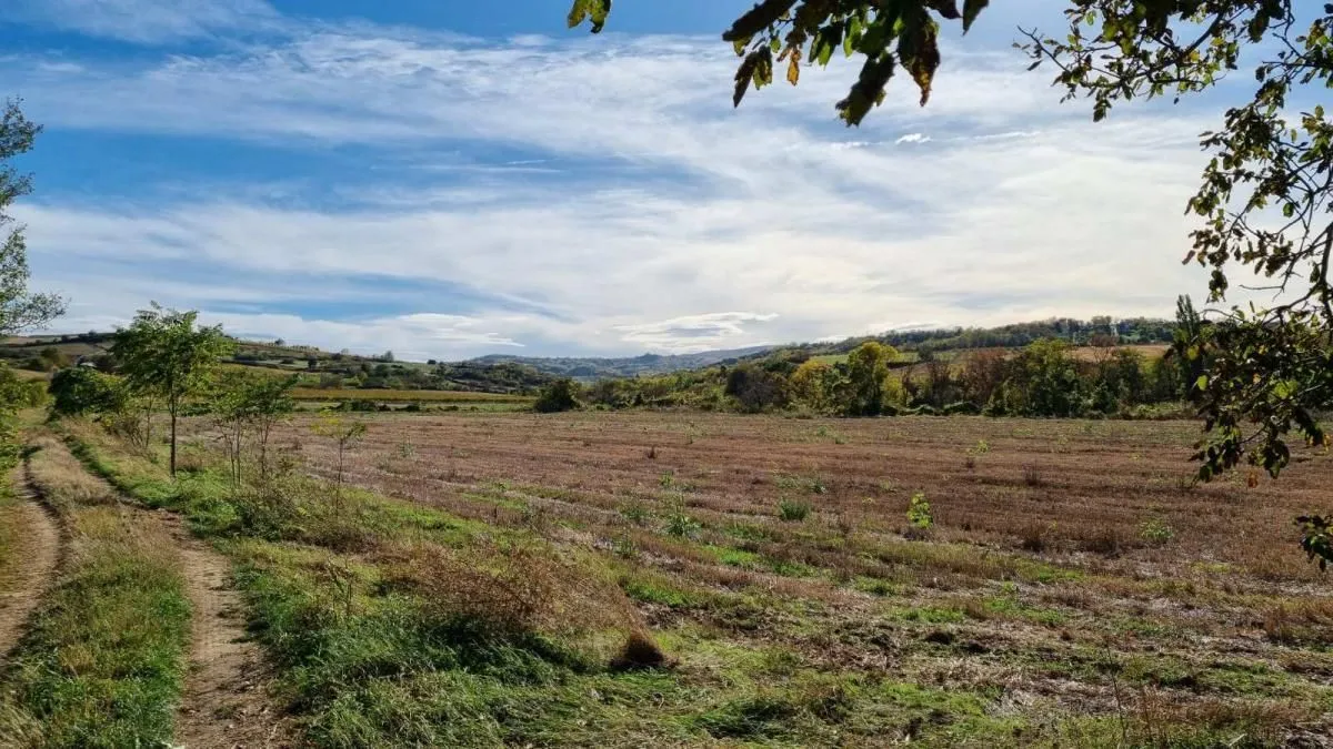 Prodaja, plac, 234m², Sremski Karlovci, Novi Sad