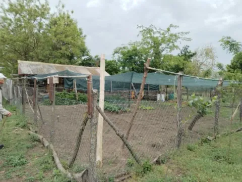 Prodaja, plac, 5400m², Veliki Radanovac, Subotica - image 6