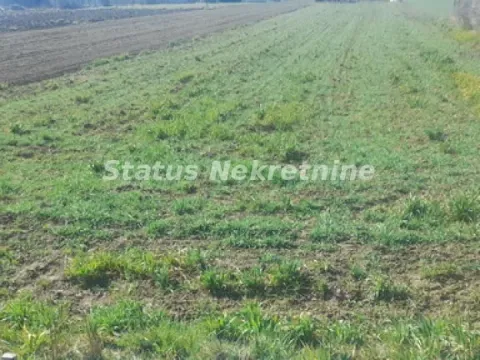 Sale, land lot, 14m², Begeč, Novi Sad Sve Podlokacije