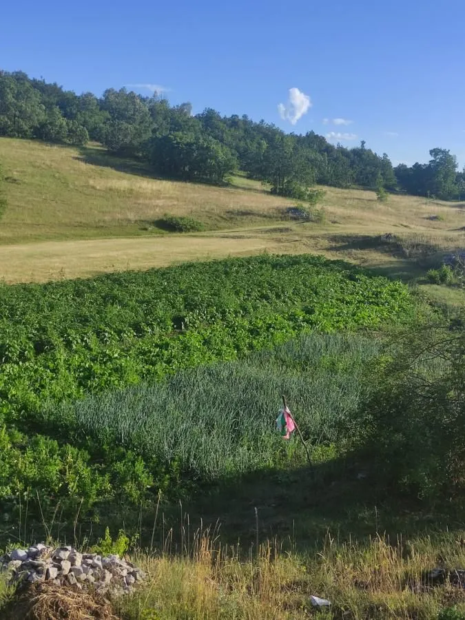 Prodaja, plac, 136000m², Dubočke, Nikšić