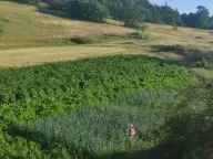 Sale, house, 60m², Dubočke, Nikšić - image 3