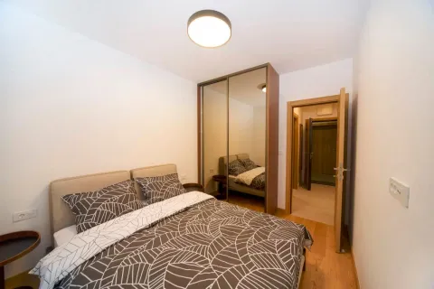 Rent, one bedroom apartment, 46m², New City, Podgorica - image 2