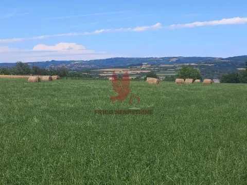 Prodaja, plac, 7700m², Koraćica, Mladenovac - image 3