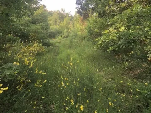 Sale, land lot, 18900m², Velja Gorana, Bar - image 14