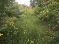 Prodaja, plac, 18900m², Velja Gorana, Bar - image 14