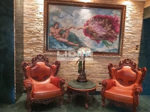 Prodaja, kuća, 830m², Senjak, Beograd - image 2