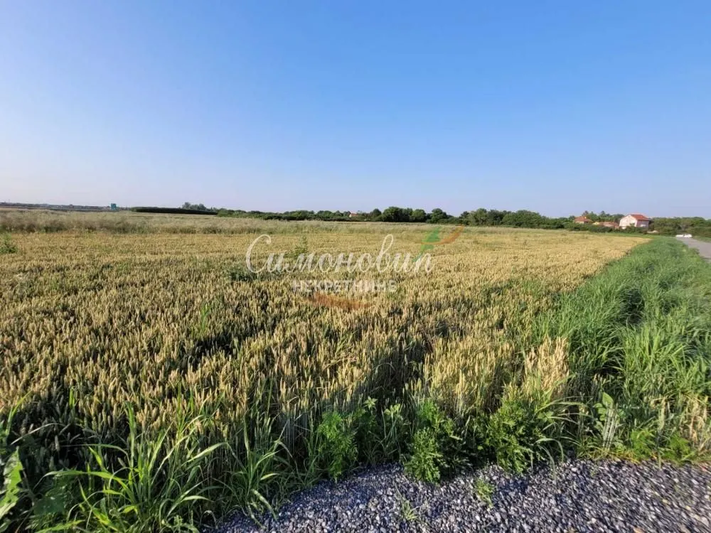 Sale, land lot, 1800m², Jakovo, Surčin