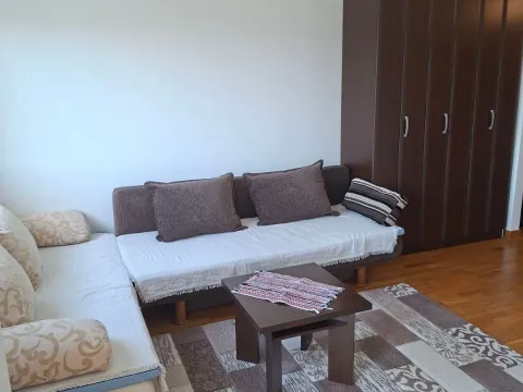 Rent, studio apartment, 30m², City Kvart, Podgorica - image 4