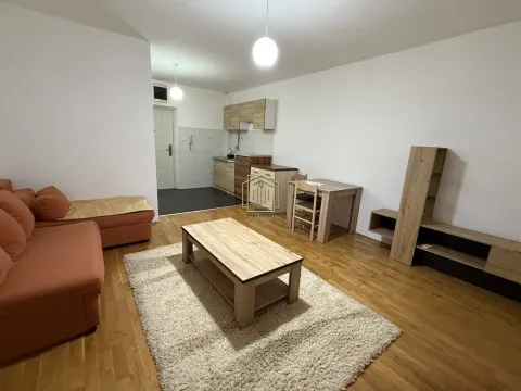 Rent, apartment, 35m², Zagorič, Podgorica - image 4
