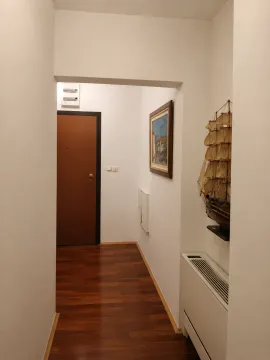 Izdavanje, jednosoban stan, 48m², Preko Morače, Podgorica - image 6