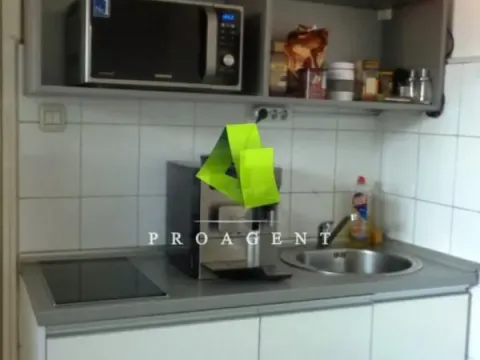 Prodaja, kuća, 400m², Centar, Niš - image 3