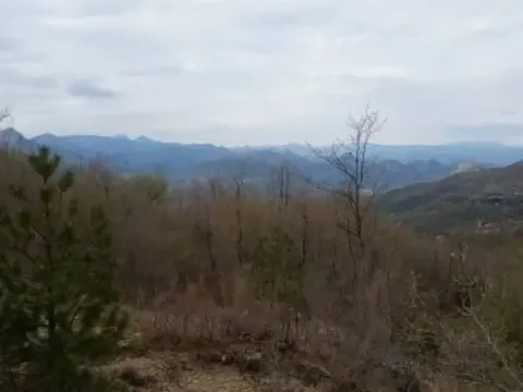 Prodaja, plac, 12000m², Centar, Bar - image 4