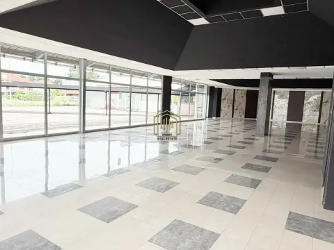 Izdavanje, poslovni prostor, 280m², Masline, Podgorica - image 10
