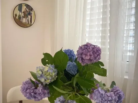 Prodaja, dvosoban stan, 52m², Prčanj, Kotor - image 6