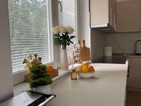 Prodaja, poslovni prostor, 555m², Niška Banja, Niš - image 25