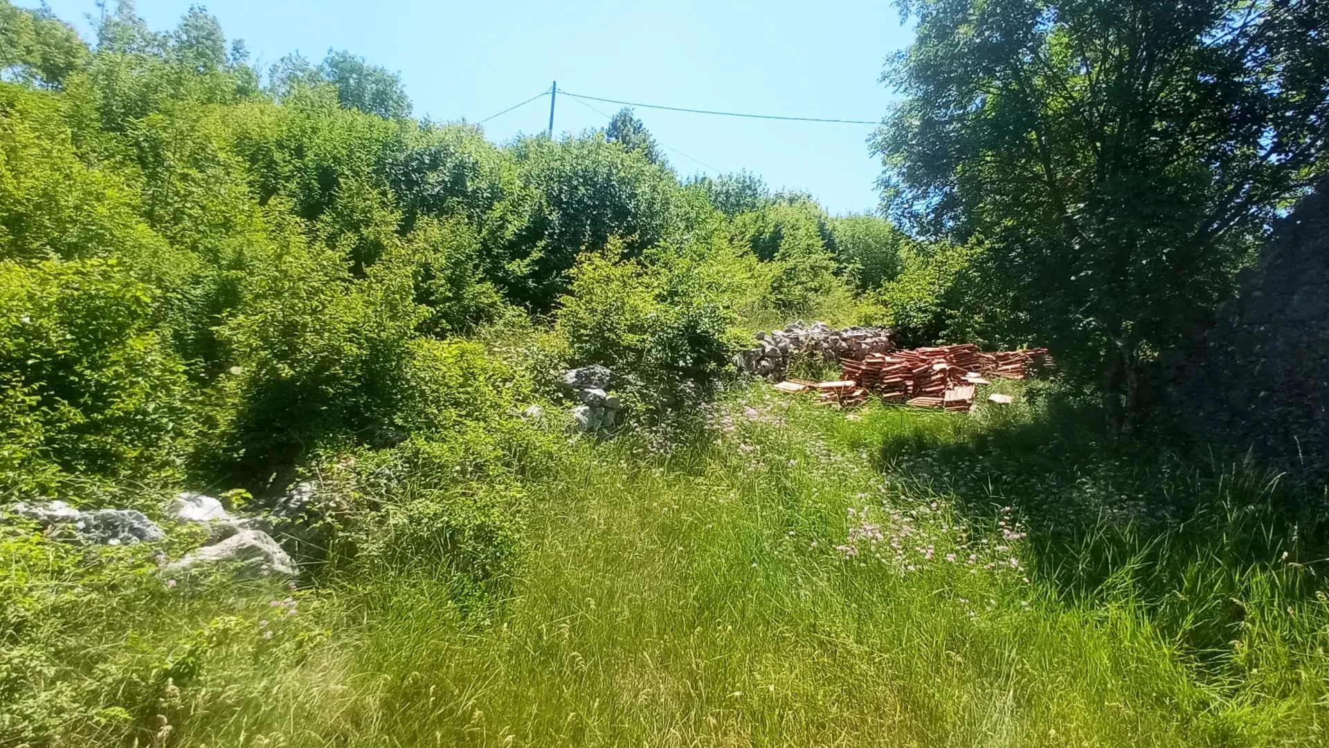 Prodaja, plac, 1500m², Ozrinići, Nikšić