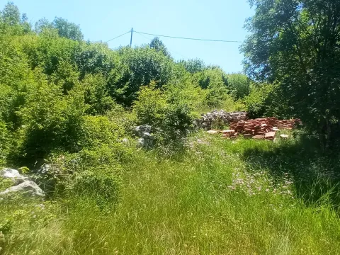 Prodaja, plac, 1500m², Ozrinići, Nikšić - image 9